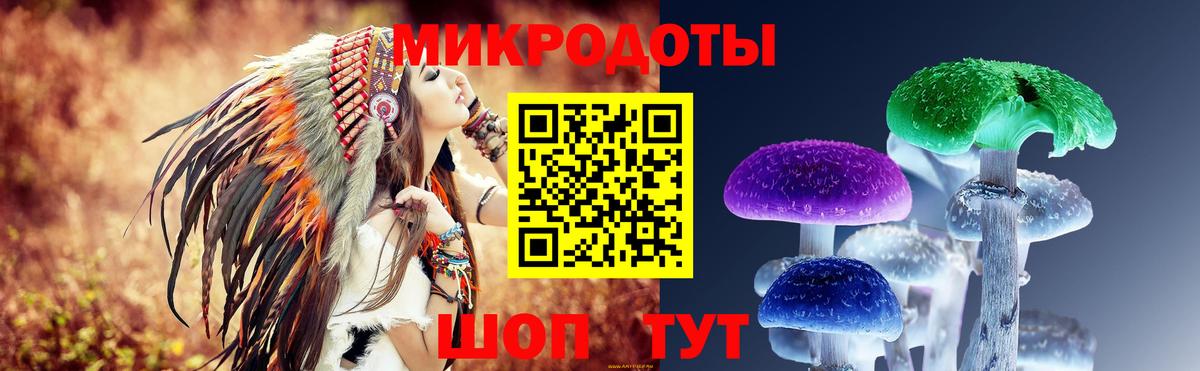 Кохма  Псилоцибиновые грибы Psilocybine cubensis  Галлюциногенные грибы MAGIC MUSHROOMS  Вход с VPN 